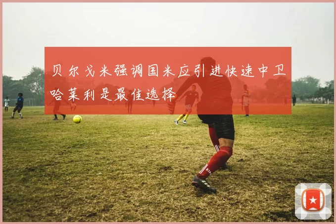 贝尔戈米强调国米应引进快速中卫哈莱利是最佳选择